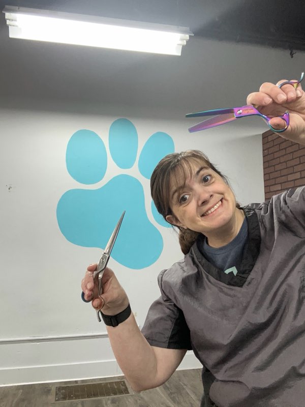 Full Dog Groom